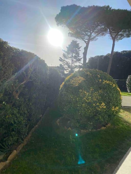 Apartamento Casa Vento Marino Livorno Exterior foto